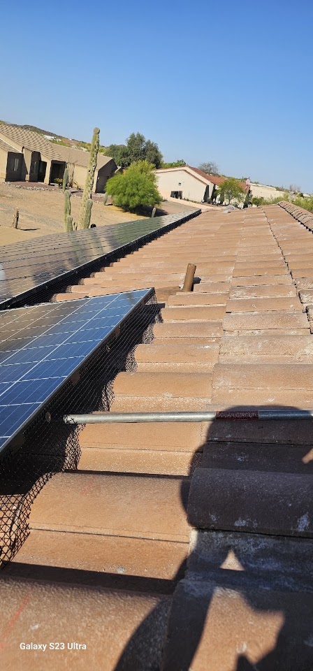 Elite Pest Pros project